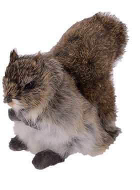 仿真小动物橱窗工艺品松鼠