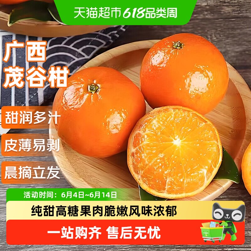 广西茂谷柑新鲜沃柑当季水果薄皮脏脏柑橘石灰柑橘子武鸣整箱