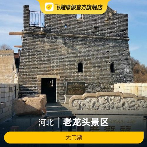 老龙头景区大门票