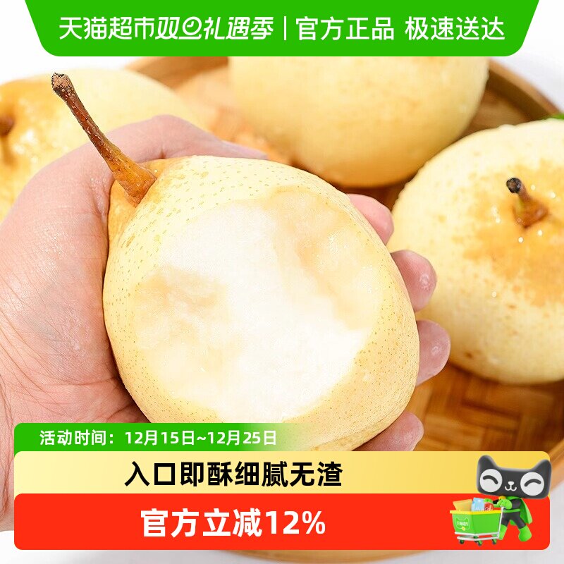 果园密码安徽砀山酥梨