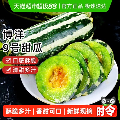 山东博洋9号甜瓜樱洛华