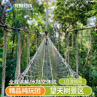 云南旅游 西双版纳 望天树热带雨林深度纯玩一日游 全程讲解