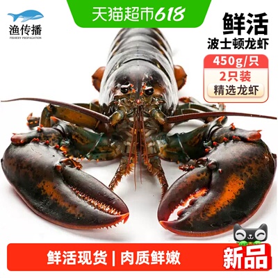 渔传播鲜活现货波士顿龙虾