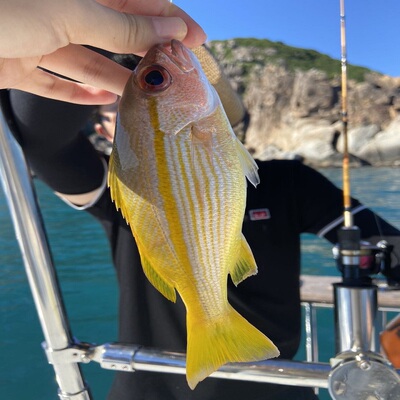 万宁石梅湾海钓豪华游艇包船拼船出海观光体验海上项目