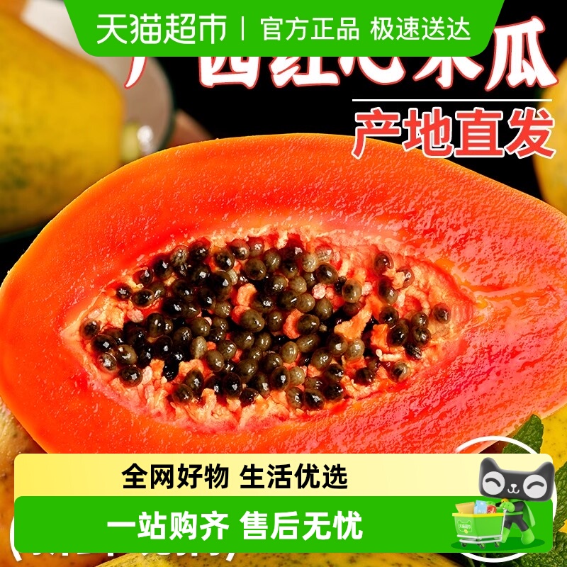 德沃多红心牛奶木瓜树上自然熟