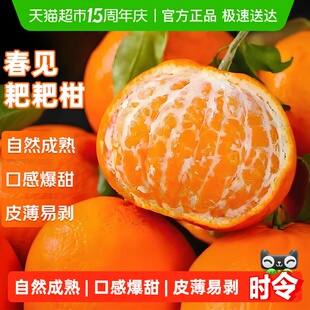 正宗四川春见耙耙柑新鲜现摘应当季水果整箱粑粑柑丑橘子杷杷甜桔