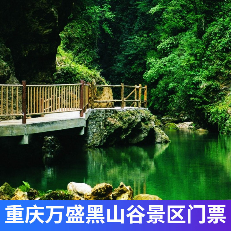 [黑山谷-大门票]重庆万盛黑山谷门票
