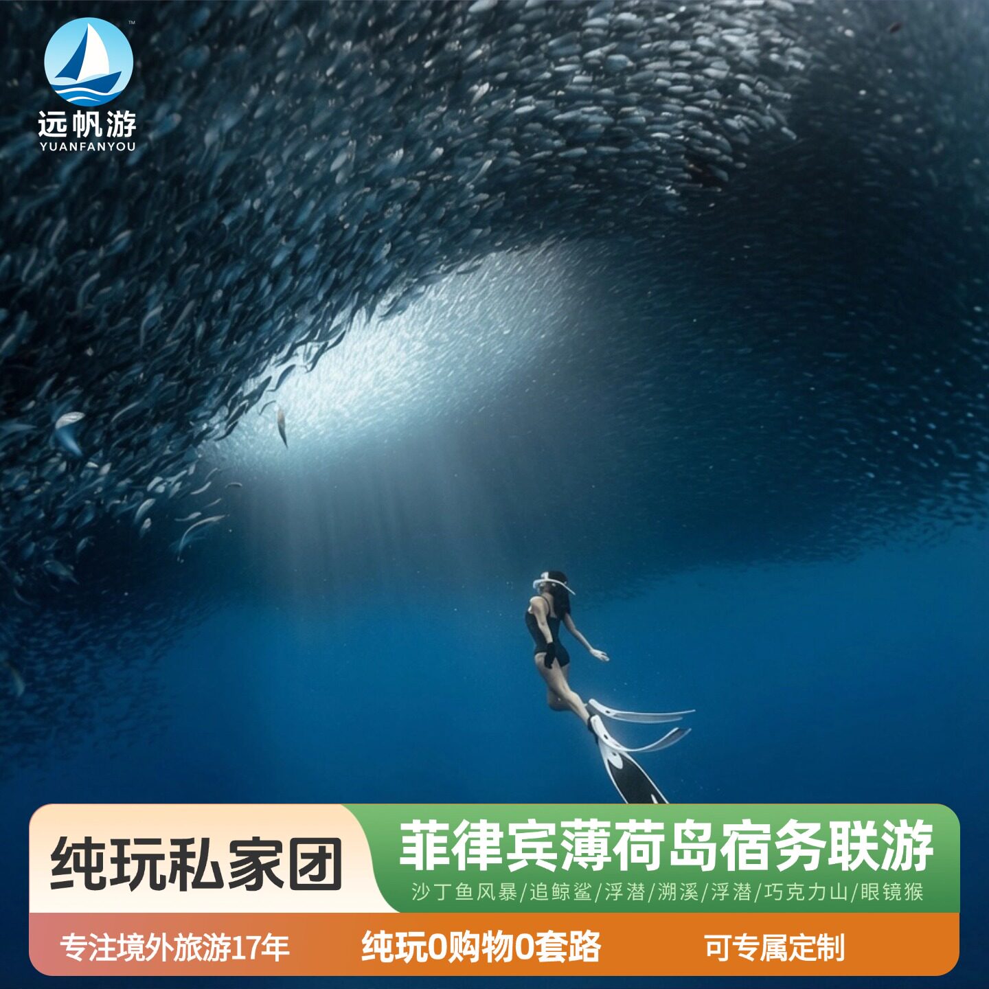 纯玩菲律宾旅游宿务薄荷岛免签追鲸鲨海豚沙丁鱼风暴浮潜半自由
