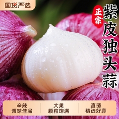 云南紫皮独头蒜新鲜蒜头新蒜米5斤独蒜干蒜湿大蒜头批发农家自提