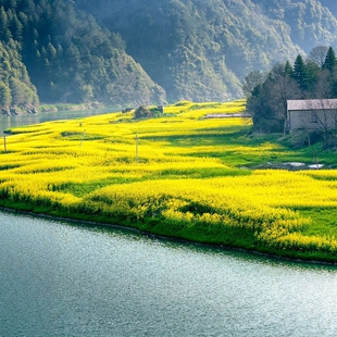 黄山+宏村+新安江山水画廊5天4晚跟团游