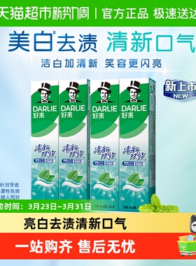 DARLIE好来(原黑人)牙膏清新双效200g*4支套装大容量清新口气