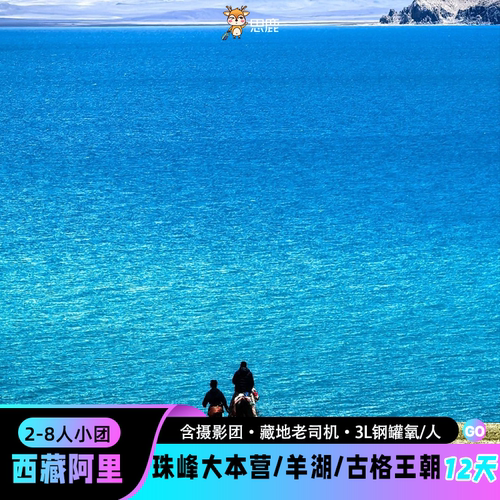 阿里12天