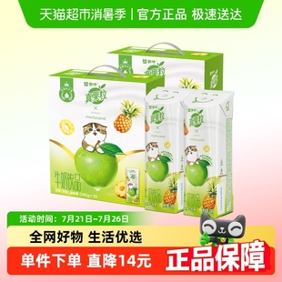 真果粒菠萝苹果味牛奶饮品240g×10包×2箱