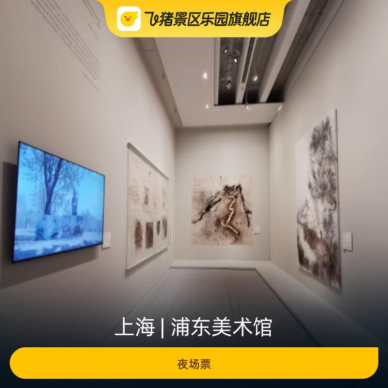 [浦东美术馆-夜场票] - 实物图