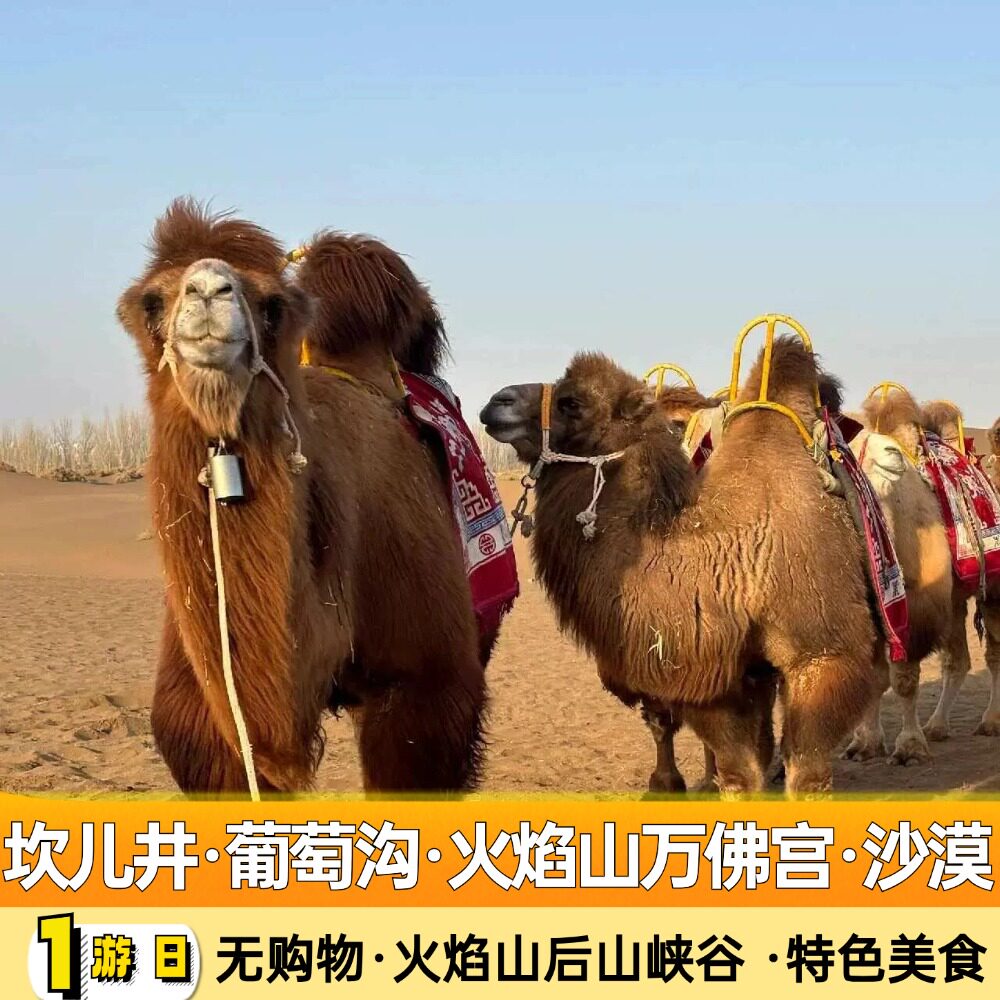吐鲁番火焰山一日游