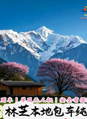 西藏林芝包车南迦巴瓦峰巴松措鲁朗墨脱来古冰川包车游可自由定制