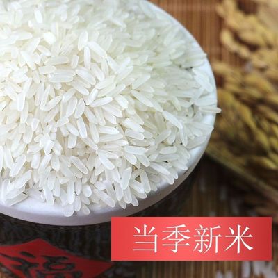 贵州梯田长粒香长粒大米煲仔饭猫牙米丝苗米香米新米长粒米