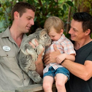 黄金海岸天堂农庄门票Paradise 抱考拉照相 大门票 抱考拉 天堂农庄