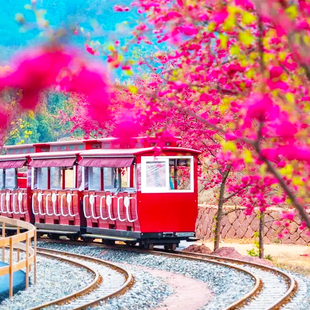 可拆分2晚杭州千岛湖安岚酒店旅游住别墅送旅拍春节可订套餐