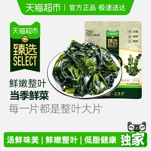 鲜裙带菜海产品非海带干货海木耳涮火锅食材 臻选拉到详情换购