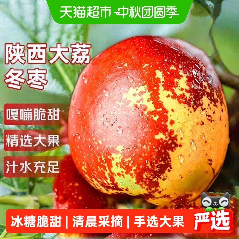陕西大荔冬枣寻天果蔬