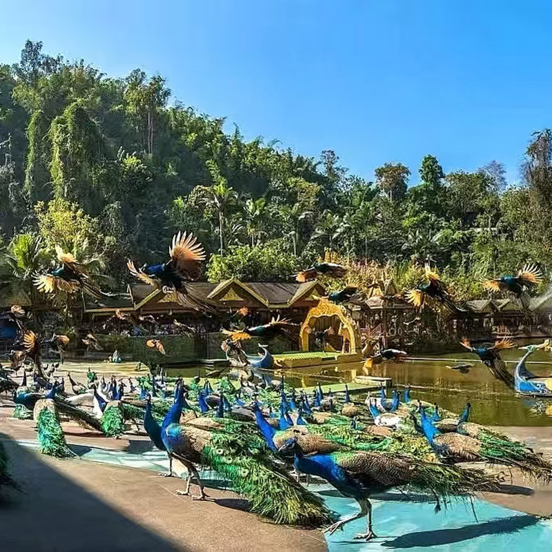 云南西双版纳普洱5天4晚+高档酒店+经典景点+行程可调ZT2