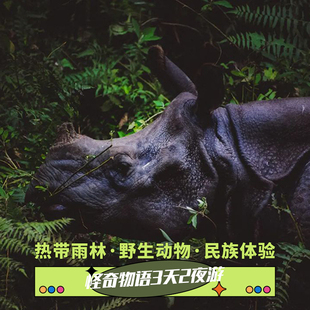 尼泊尔加德满都博卡拉奇特旺3天2晚骑大象独木舟丛林越野车