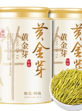 黄金芽2025年新茶特级安吉珍惜白茶明前头采绿茶黄金芽茶叶自己喝