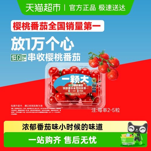 一颗大红黄串樱桃番茄