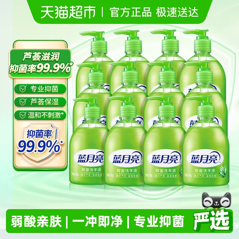 蓝月亮洗手液家用芦荟强效抑菌保湿补水清洁300g*12瓶