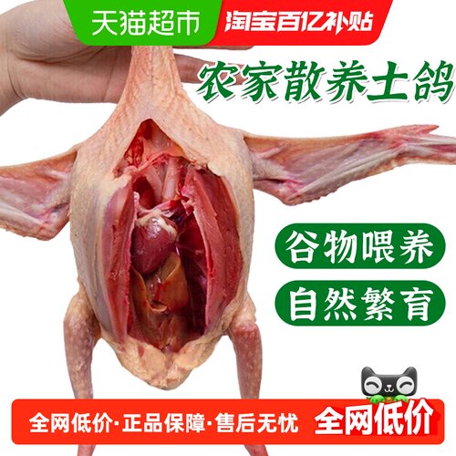 新鲜土鸽子农家散养
