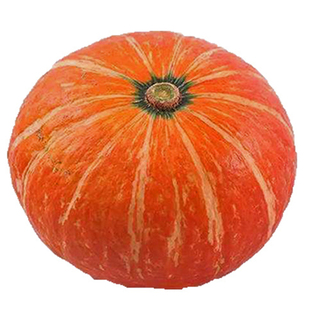 圣凯华农磨盘大南瓜种子 特甜超面 蔬菜种子瓜大高产味甜面中晚熟