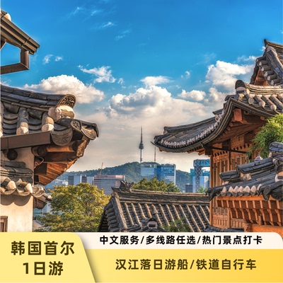 韩国首尔1日游