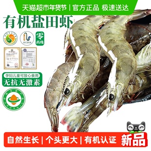 有机无抗盐田虾大虾鲜活速冻特大鲜对虾白虾渤海