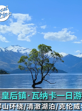 瓦纳卡孤独的树一日游