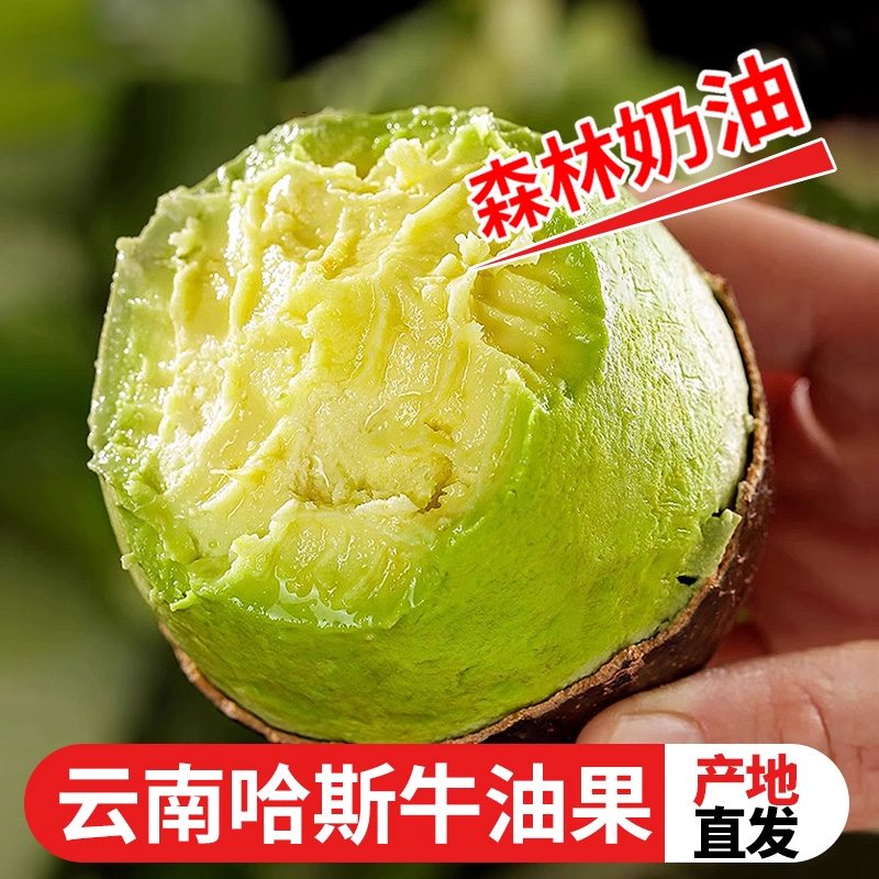 云南哈斯牛油果新鲜水果应当季即食国产一级鳄梨熟透大果整箱包邮