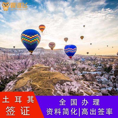 土耳其·旅游签证·移民局网站·土耳其普通签证个人旅游签伊斯坦布尔简化商务全国护照加急办理电子贴纸签