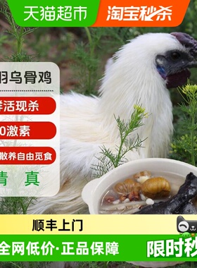 顺丰上门大用乌鸡新鲜现杀谷饲喂养农家散养土鸡正宗乌骨鸡1050g*