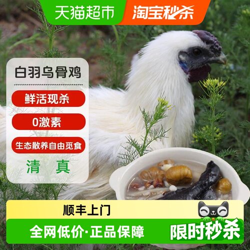 大用乌鸡鲜香多汁1050g*2只