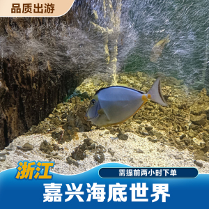 [嘉兴极地海洋馆-大门票]嘉兴海底世界亲子票2大1小