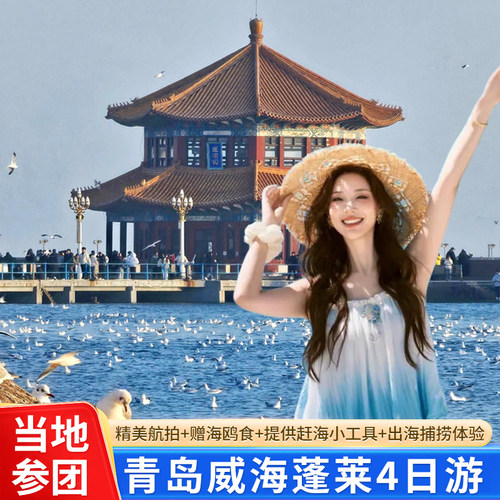 青岛威海蓬莱旅游4天3晚跟团游 | 赠航拍 赶海工具 海鸥喂食