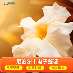 尼泊尔·30天多次往返旅游签证·移民局网站·尼泊尔签证 电子落地签 护照首页+相片即可 加德满都昆布蓝毗尼木斯塘安纳普尔纳奇特旺博卡拉郎塘多尔帕伊兰