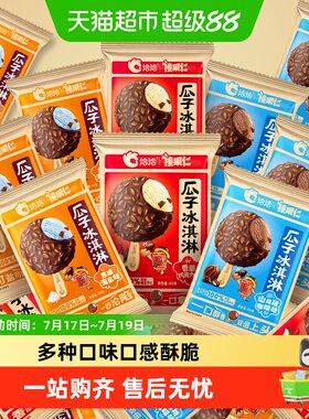 洽洽香瓜子仁冰激凌香草焦糖山核