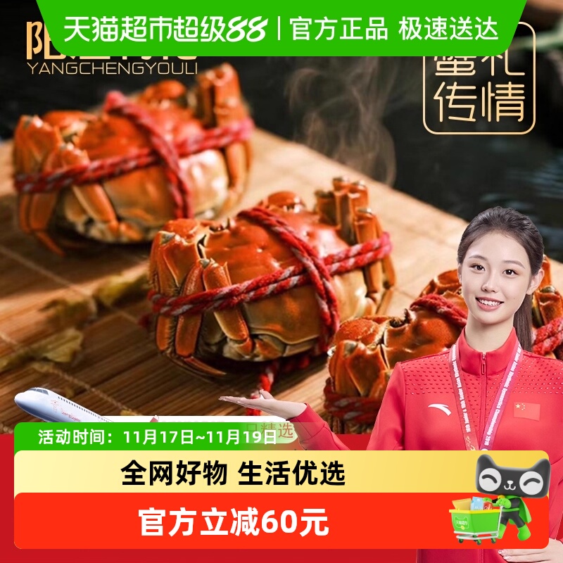 阳澄有礼大闸蟹活蟹去绳足两