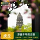 苏州虎丘1.5小时私享团人工讲解人文讲师私家小团含蓝牙无线耳麦