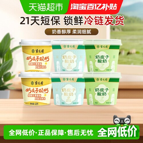 紫光园低温网红奶皮子酸奶