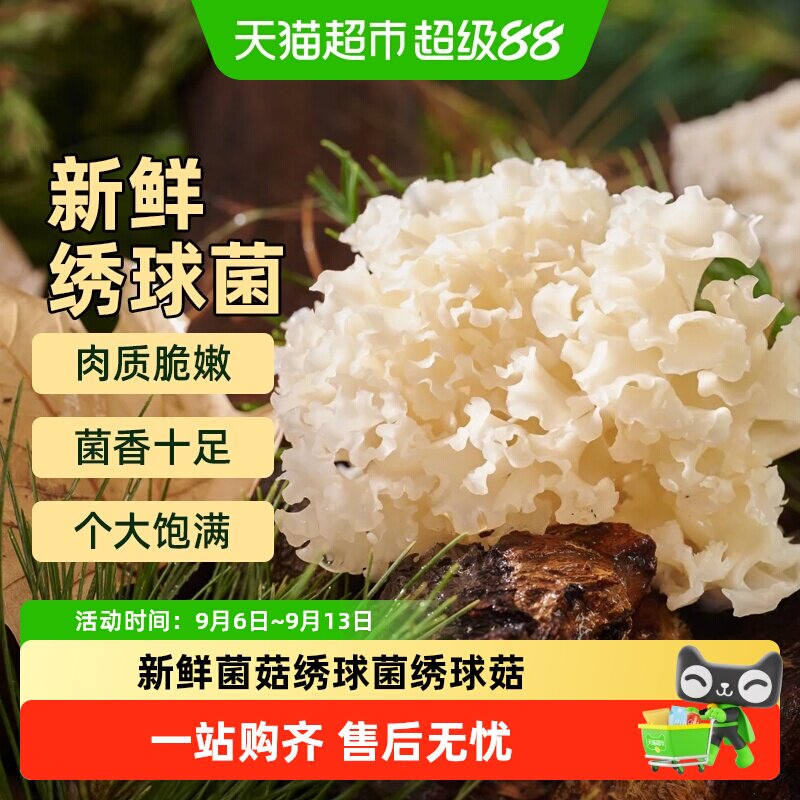 胡鲜森绣球菇口感细腻吃法多样图片
