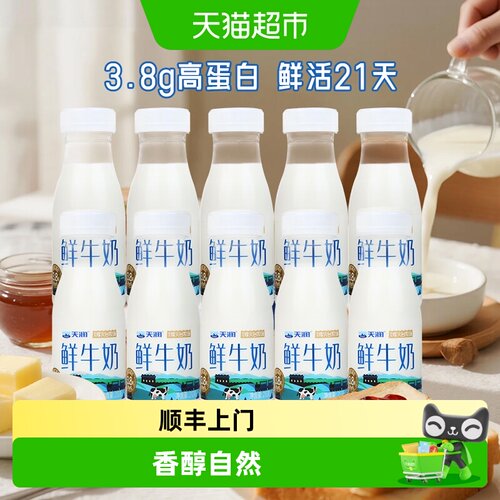 天润新疆巴氏杀菌鲜牛奶