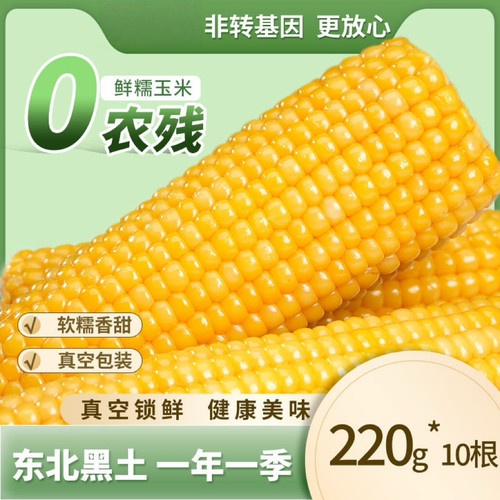 正宗东北新鲜黄糯玉米软糯拉丝独立真空包装寒地黑土一年一季