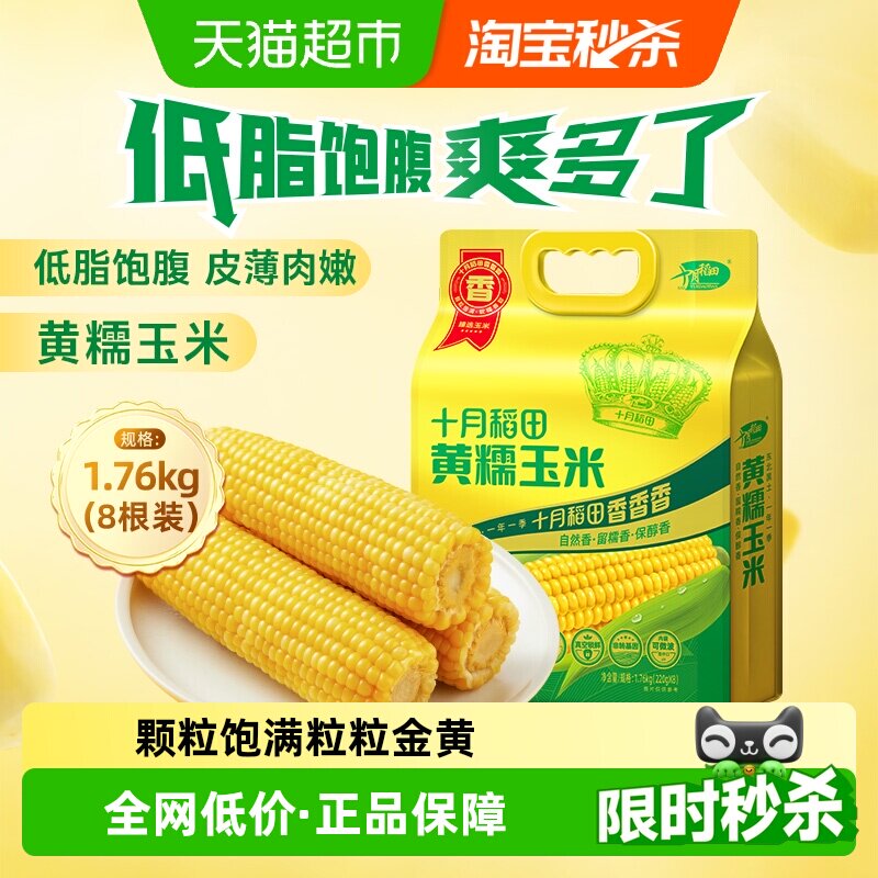 十月稻田黄糯玉米东北粘苞米杂粮粗粮低脂早餐可微波